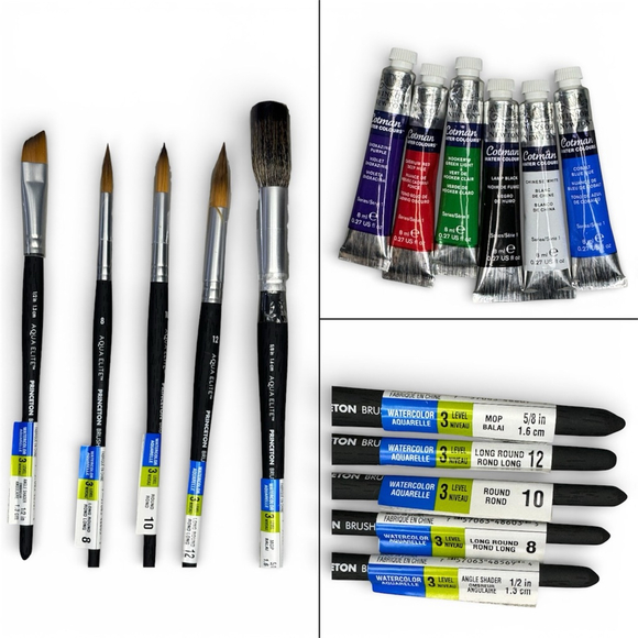 Princeton Other - Winsor & Newton Cotman Watercolor Paint + Princeton Aqua Elite Brush Lot – NEW
